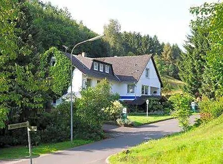 Hotel Hotel-pension-waldblick
